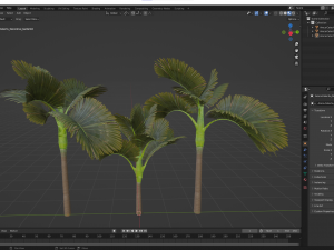 New Plant High detail Areca Catechu Decorative Garden 3D Модель