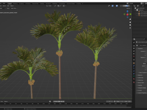 New Plant High detail Areca Catechu Decorative Garden Fruit Model 3D