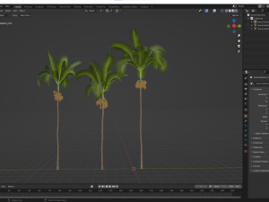New Plant High detail Areca Catechu Fruit 3D Model