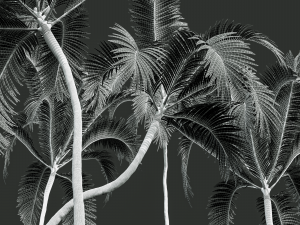New Plant High detail Areca Catechu Medium 3D 模型