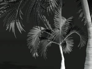 New Plant High detail Areca Catechu Small 3Dモデル