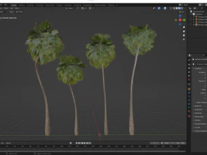 New Plant High detail Borassus Flabellifer Medium 3D Model