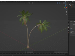 New Plant High detail Cocos Nucifera 3D Model