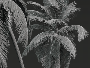 New Plant High detail Cocos Nucifera Windy 3D 모델