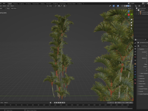 New Plant High detail Cyrtostachys Renda 3D 模型