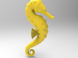 seahorse 3D Print Model