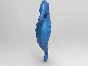 seahorse Modelo de Impressão 3D