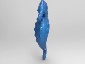 seahorse 3D Print Model