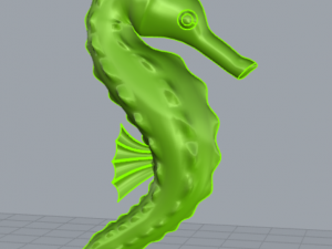 seahorse Modelo de Impressão 3D