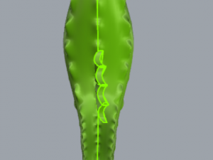 seahorse Modelo de Impressão 3D