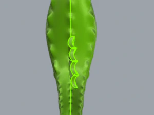 seahorse 3D Print Model