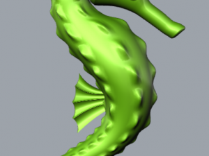 seahorse Modelo de Impressão 3D