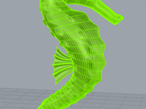 seahorse Modelo de Impressão 3D