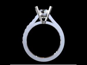 solitary ring 3D Print Model