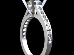 solitary ring 3D Print Model