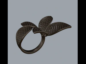 ring secret garden 3D Print Model