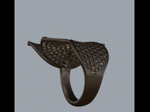 ring secret garden 3D Print Model