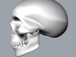 skull Modello di stampa 3D