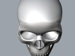 skull Modello di stampa 3D