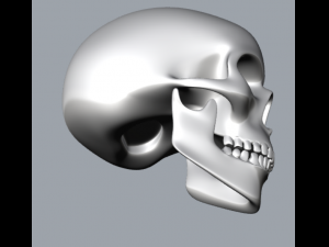 skull Modello di stampa 3D