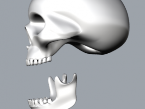 skull Modello di stampa 3D