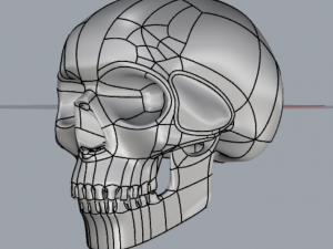 skull Modello di stampa 3D