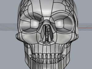 skull Modello di stampa 3D