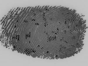 fingerprint Model Cetak 3D