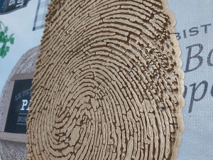 fingerprint Model Cetak 3D