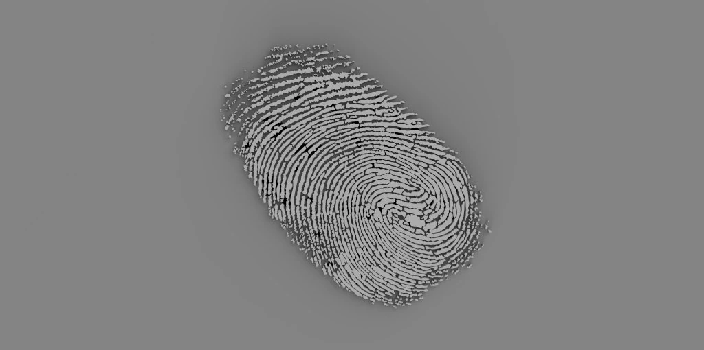 fingerprint 3D Print Model .c4d .max .obj .3ds .fbx .stl .blend 