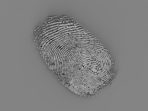 fingerprint Model Cetak 3D