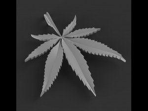 cannabis 3D Print Model