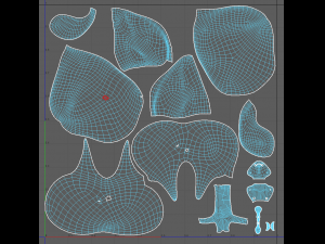 human respiratory 3D मॉडल