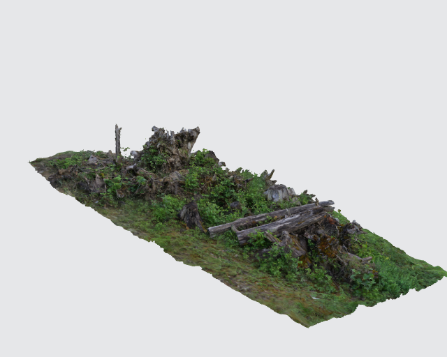 tree stumps Modello 3D .c4d .max .obj .3ds .fbx .stl .blend 