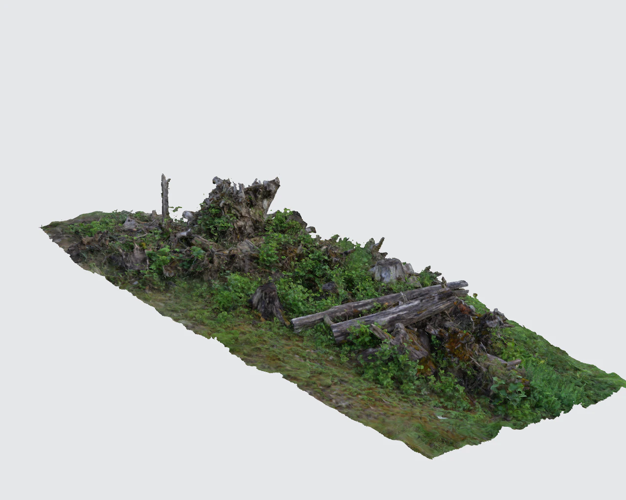 пні дерев 3D Модель .c4d .max .obj .3ds .fbx .stl .blend 