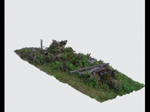 tree stumps 3D 모델