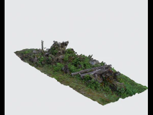 пні дерев 3D Модель