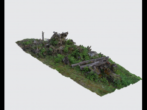 tree stumps Modello 3D