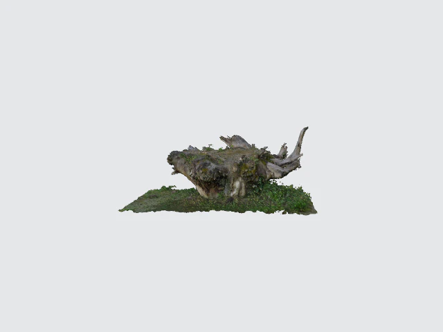 ra&iacute;z del &aacute;rbol individualmente Modelo 3D .c4d .max .obj .3ds .fbx .stl .blend 