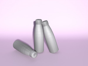 sport bottle Modelo 3D