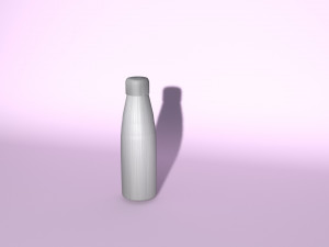 sport bottle Modelo 3D