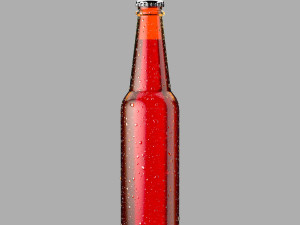 beer bottle 3D Model