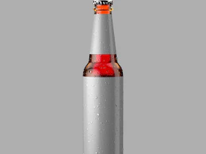 beer bottle 3D Model