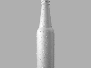 beer bottle 3D Model