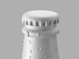 beer bottle 3D Model