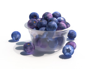 blueberry Modelo 3D
