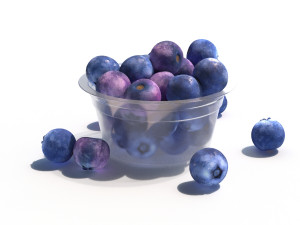 blueberry 3D Model