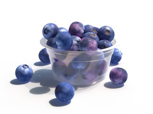 blueberry 3D Model