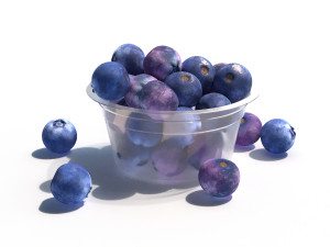 blueberry 3D Model