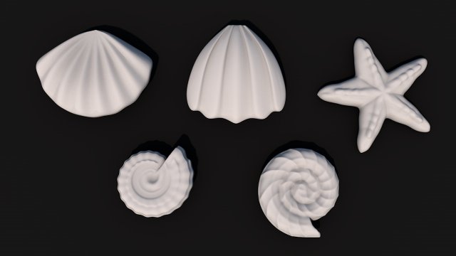 seashells 3D Модель .c4d .max .obj .3ds .fbx .stl .blend 